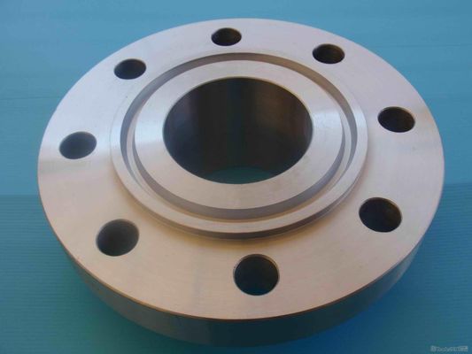 China High Precision CNC Machining Leak Proof ANSI B16.5 Ring Type Joint Flange supplier