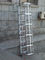 200kg Load Capacity Marine Boarding Ladder Safety Vertical Access Ladders supplier